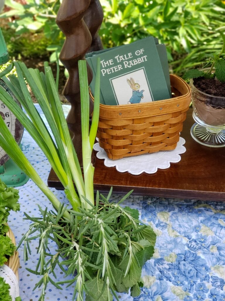 peter rabbit party food table decor