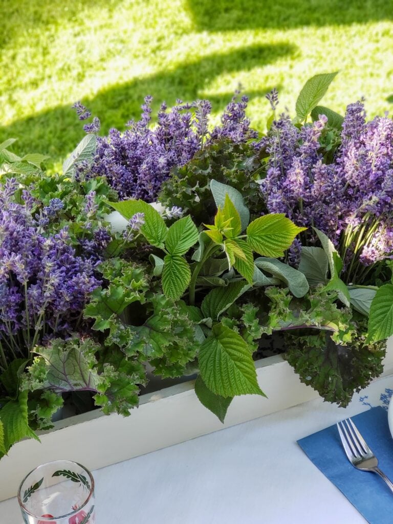 peter rabbit party herb centerpiece