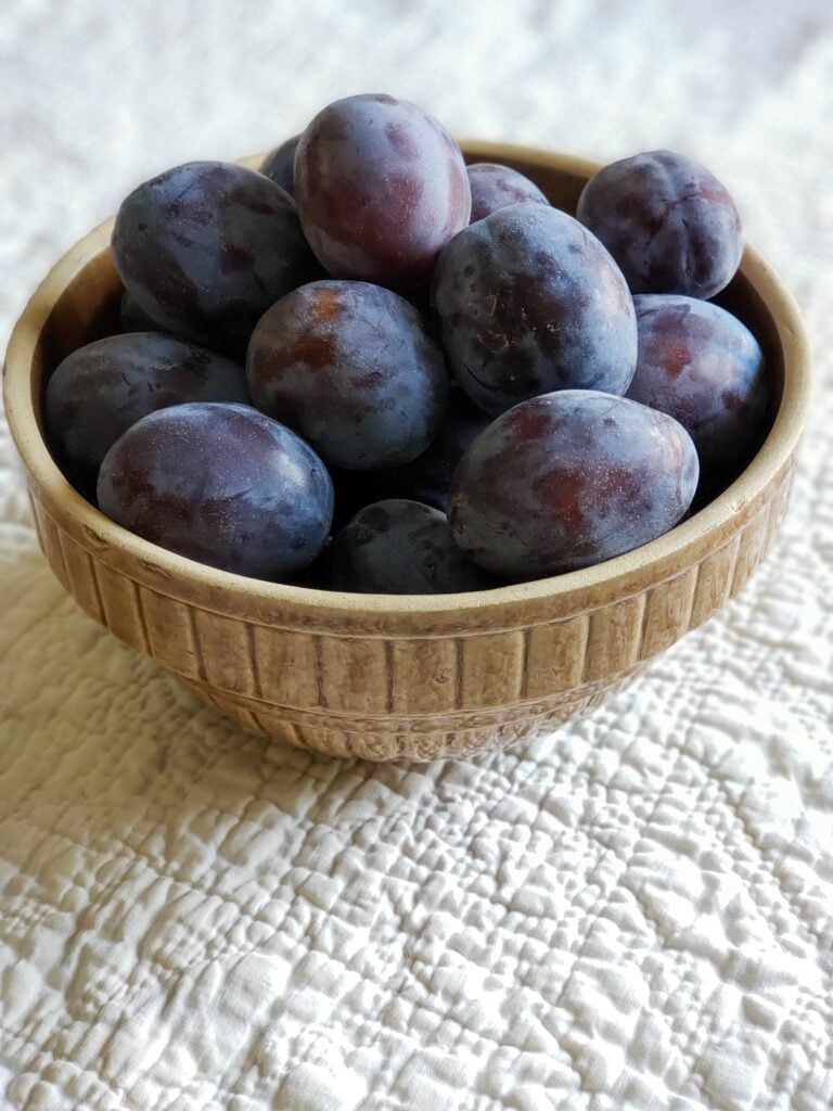italian plums in bowl