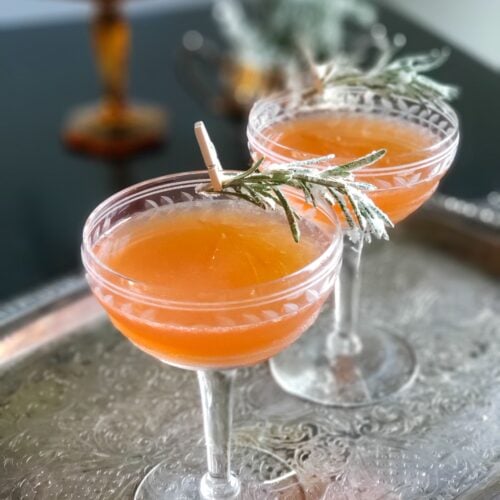bitter orange sidecar cocktail