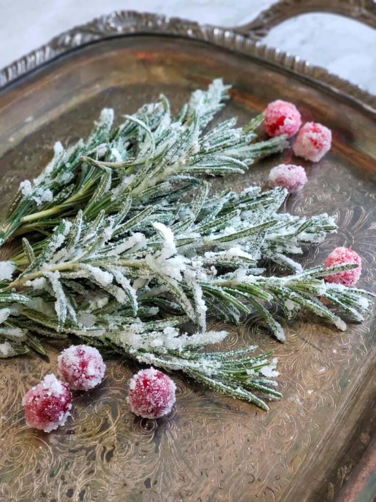 sugared rosemary and cranberries on a tray
