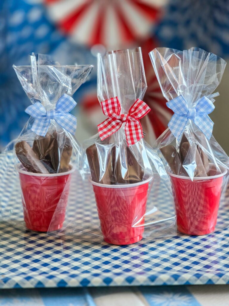 DIY vintage Americana party favor with chocolate raspberry sticks in mini red cups and gingham bow with cellophane bags